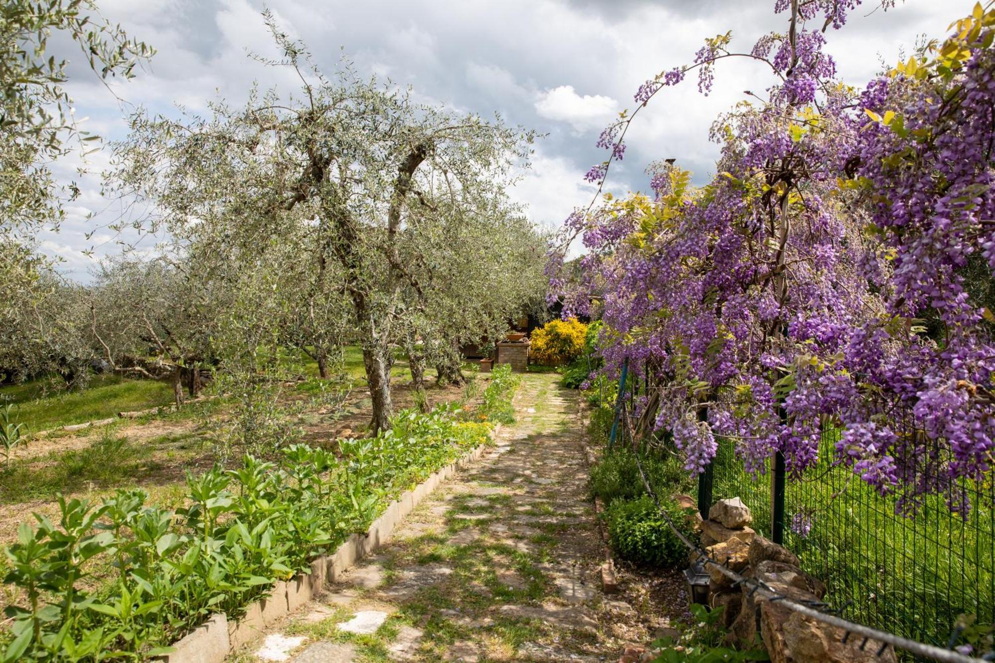 Il Poggio Dell'Eremita Διαμέρισμα Rigomagno Εξωτερικό φωτογραφία