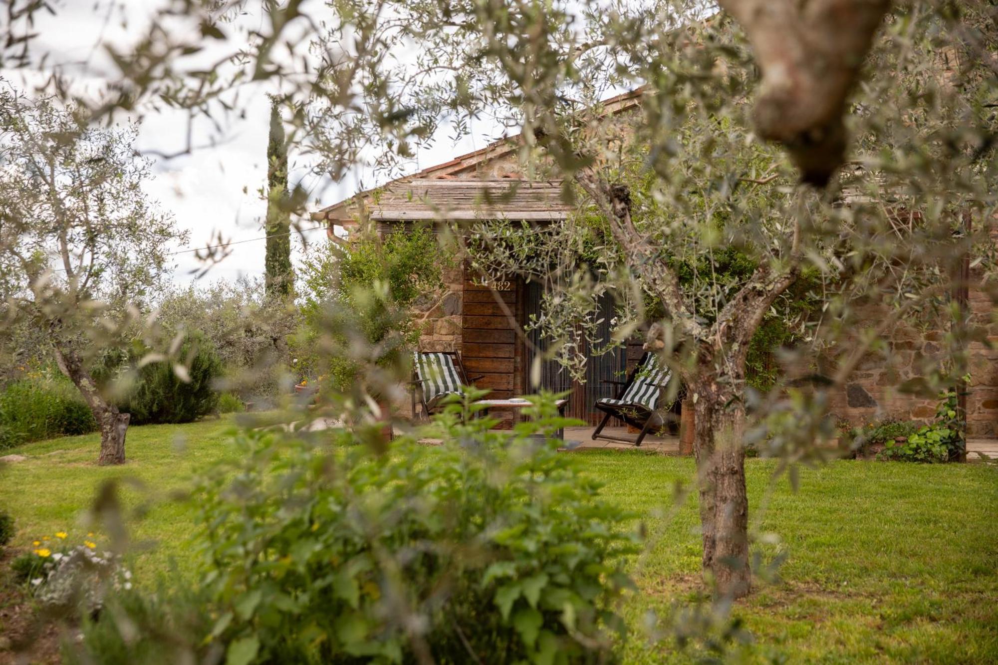 Il Poggio Dell'Eremita Διαμέρισμα Rigomagno Εξωτερικό φωτογραφία